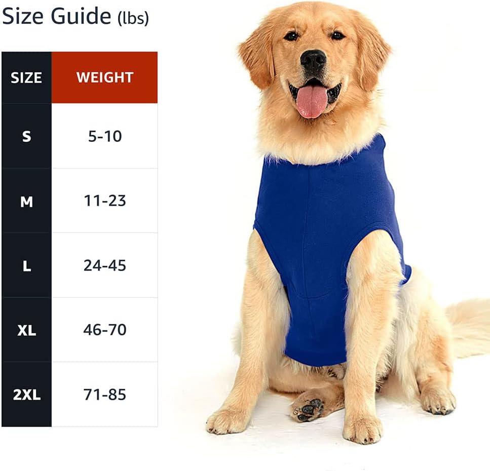 Dog Ghost Dog Shirt with Hoodie - Welsh Corgi Dog Hoodie - Dog Print Dog Clothing - Black White, M