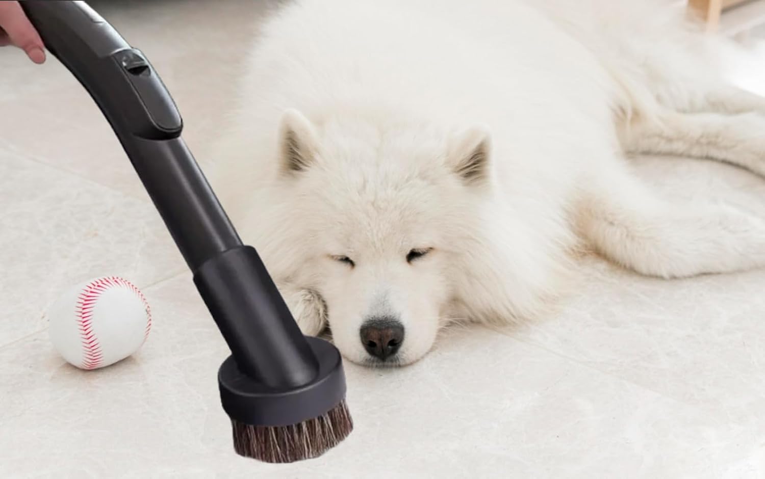 Dusting brush being used to clean a hard floor near a white dog
