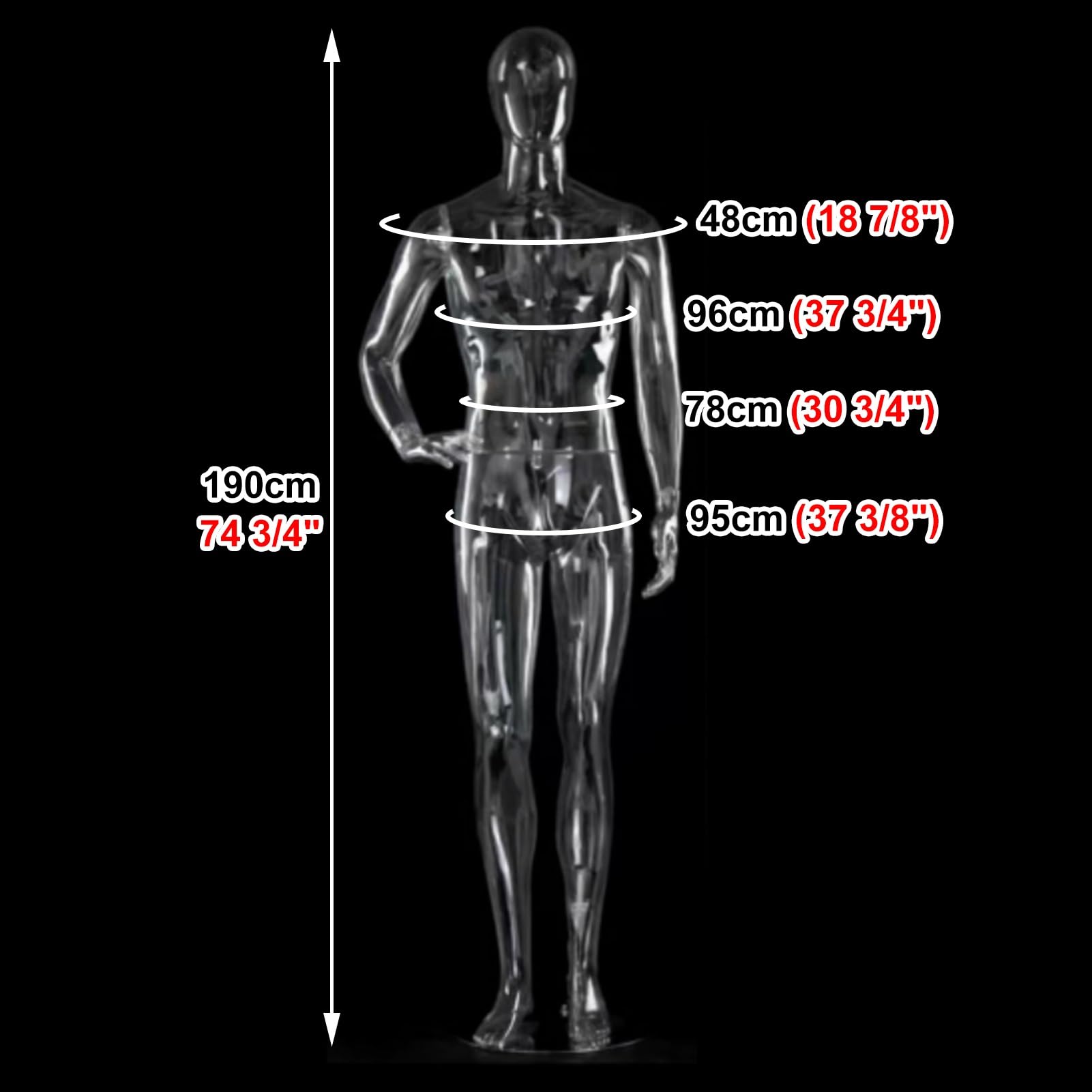 男性 マネキン 190センチ Amazon.co.jp: マネキン 身長190cmの男性フルマネキンです