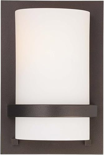 Minka Lavery Aplique de pared 342-172 de vidrio 1 luz 100 vatios (10 pulgadas de alto x 6 pulgadas de ancho) accesorio de tocador de baño húmedo,