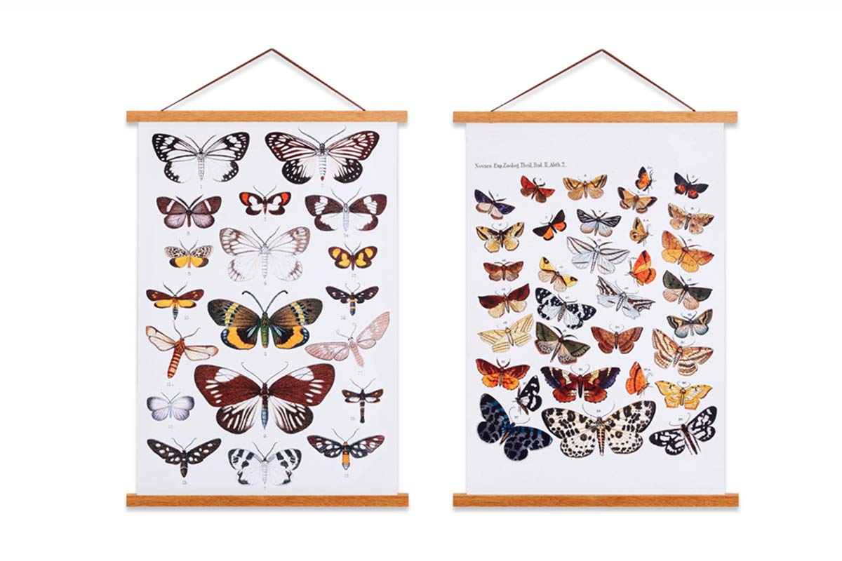 Ywlake A3 Posterleiste Posterschiene Posterleisten, Magnet Magnetische Holz Poster Aufhänger Halter Rahmen Leisten Bild Bilder Bilderrahmen Bilderleiste 30x40 30x30 30x45 (30,5cm, Weiß, 2 Packungen)