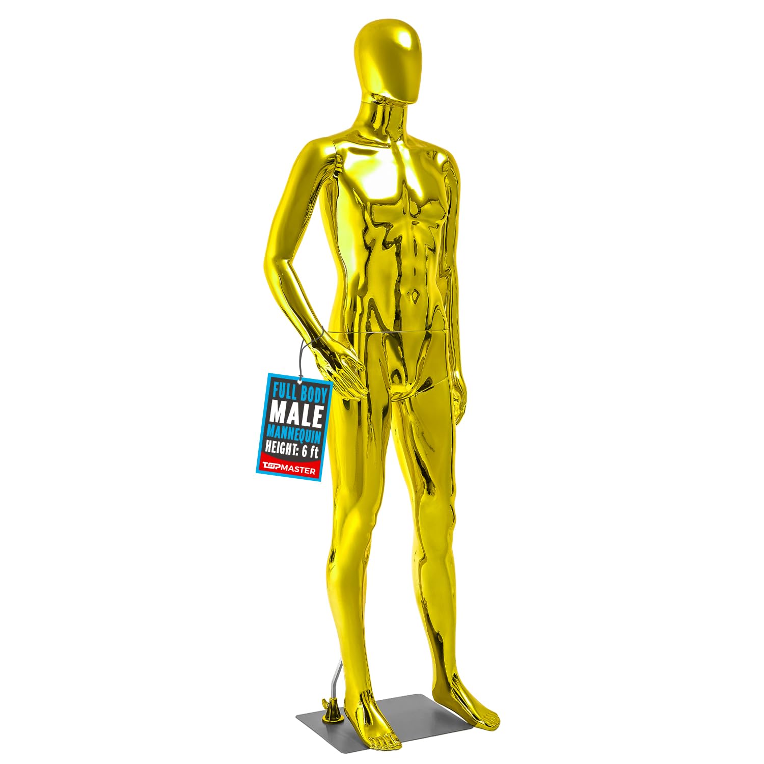 Amazon.com: Male Mannequin - Premium Quality Construction