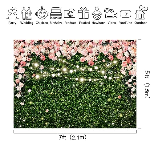 Recopilación y reviews de Planta hoja elegante para comprar online. 12 Imagen adicional