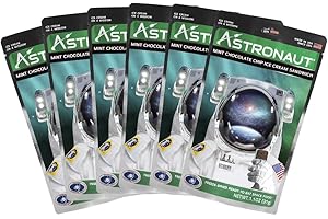 Astronaut Foods Freeze-Dried Ice Cream Sandwich: NASA-Approved Space Treat