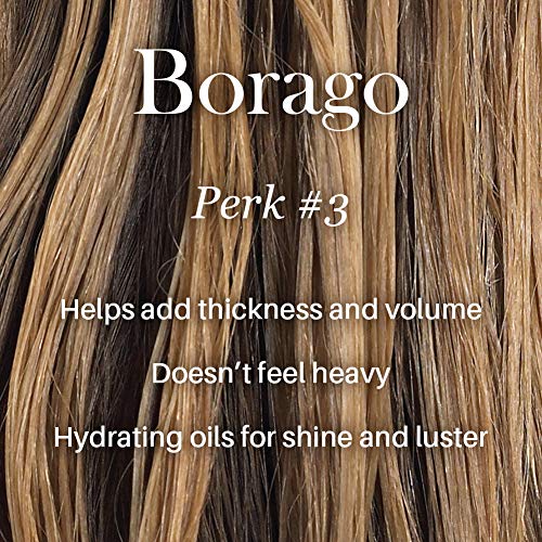 L’ange Hair Borago Borage Oil Deep Conditioning Masque | Powerful Nourishing Borage Oil For Hair | Ideal For Medium To Coarse Hair #TOP3