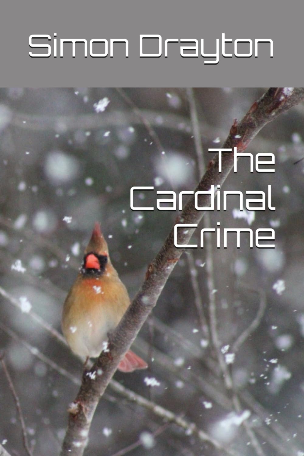 The Cardinal Crime (The Mysteries of Just Another John Smith)