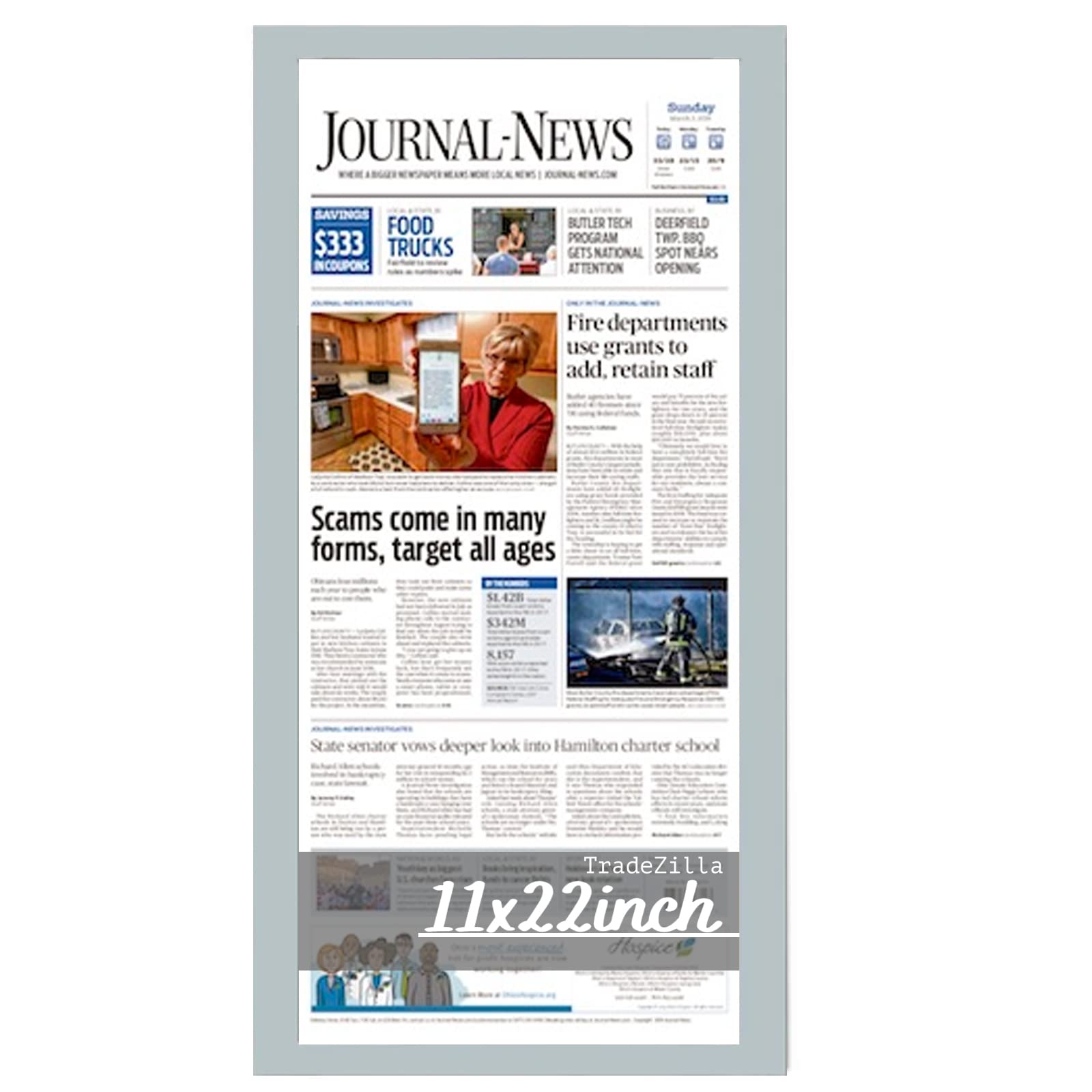 TradeZilla Large Poster Frames 11x22-inch Grey Newspaper Frame| MDF wood with Perspex Face to Hold 27.94 x 55.88 cm | Media/Research Article Includes Installed Wall Hangers (Light Grey)