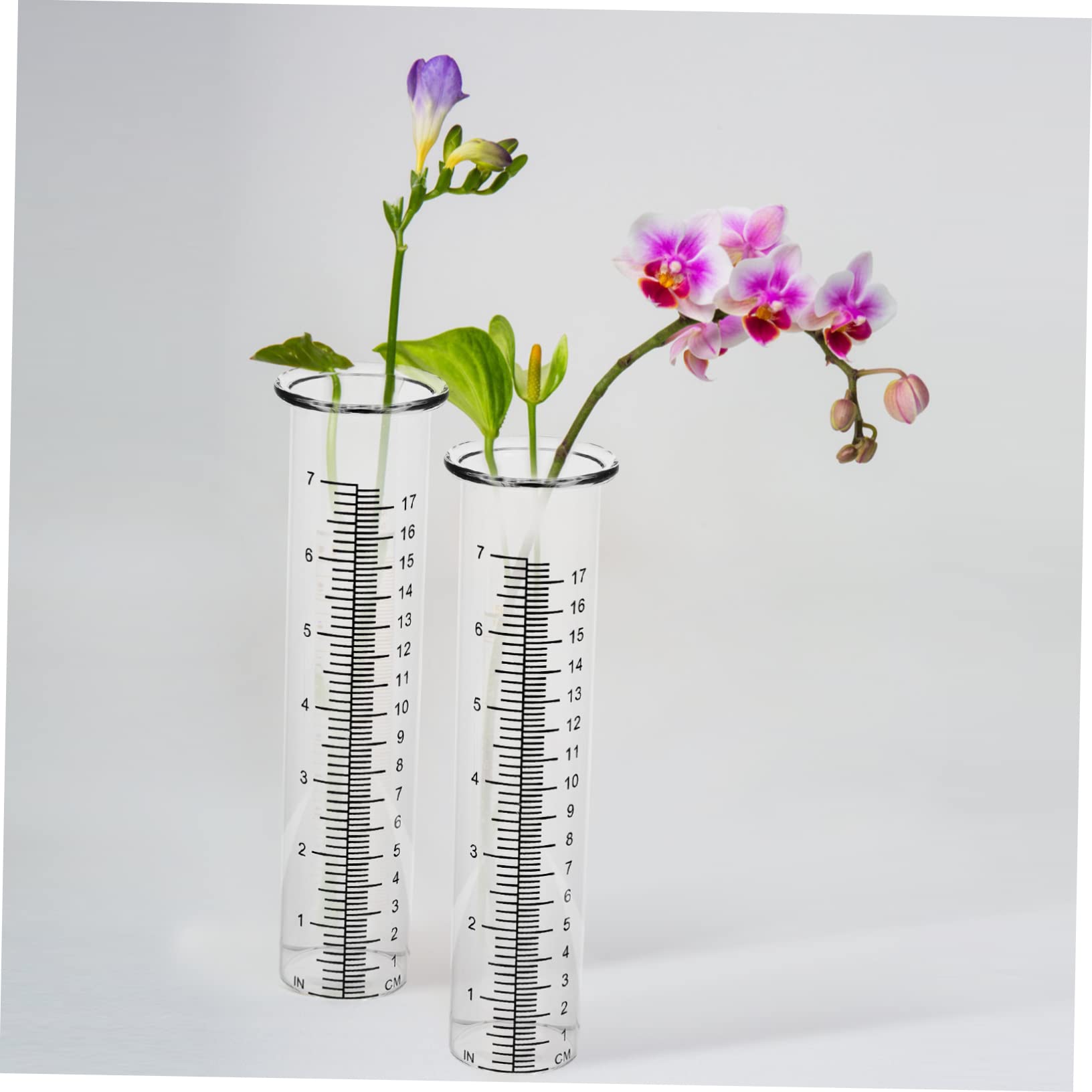 NULYLU Rain Gauge Tube Boroscillte Glass Measuring Cup Easy to Read Scale for Weather Monitoring