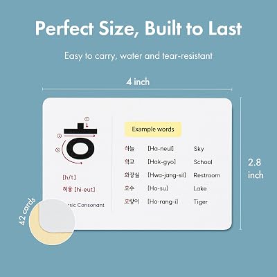 Korean Alphabet Flashcards with 195 Example Words Philippines | Ubuy