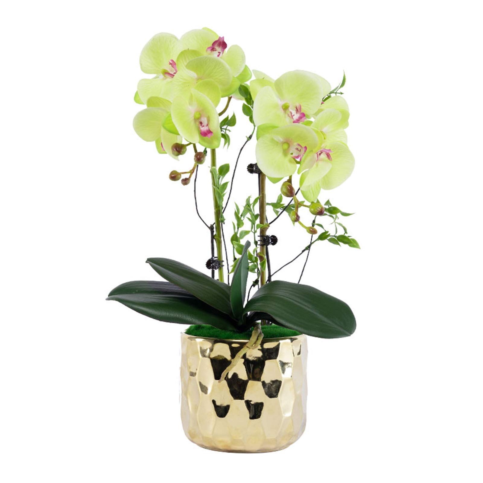 MYUYEE Orchids Artificial Flowers Phalaenopsis - Orchid Faux Flowers In Gold Ceramic Pot - Wedding Party Dining Table Centerpiece Decor(Green)