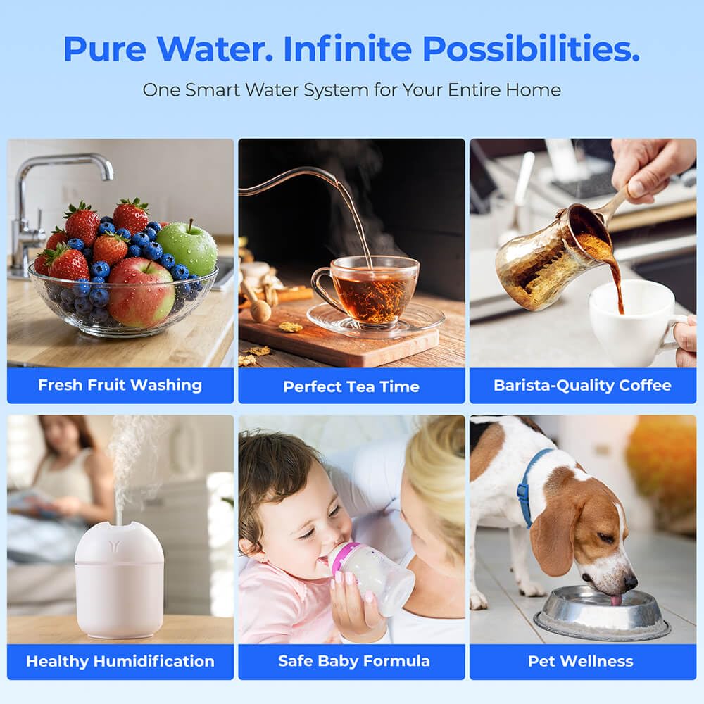 W100 UV Auftisch Umkehrosmoseanlage Wasserfilter, Heißwasserspender, Remineralisierung und pH-Gleichgewicht, 6-Stufiger Filterung Filter, 3:1 Rein zu Abfluss, Echtzeit-TDS-Monitor