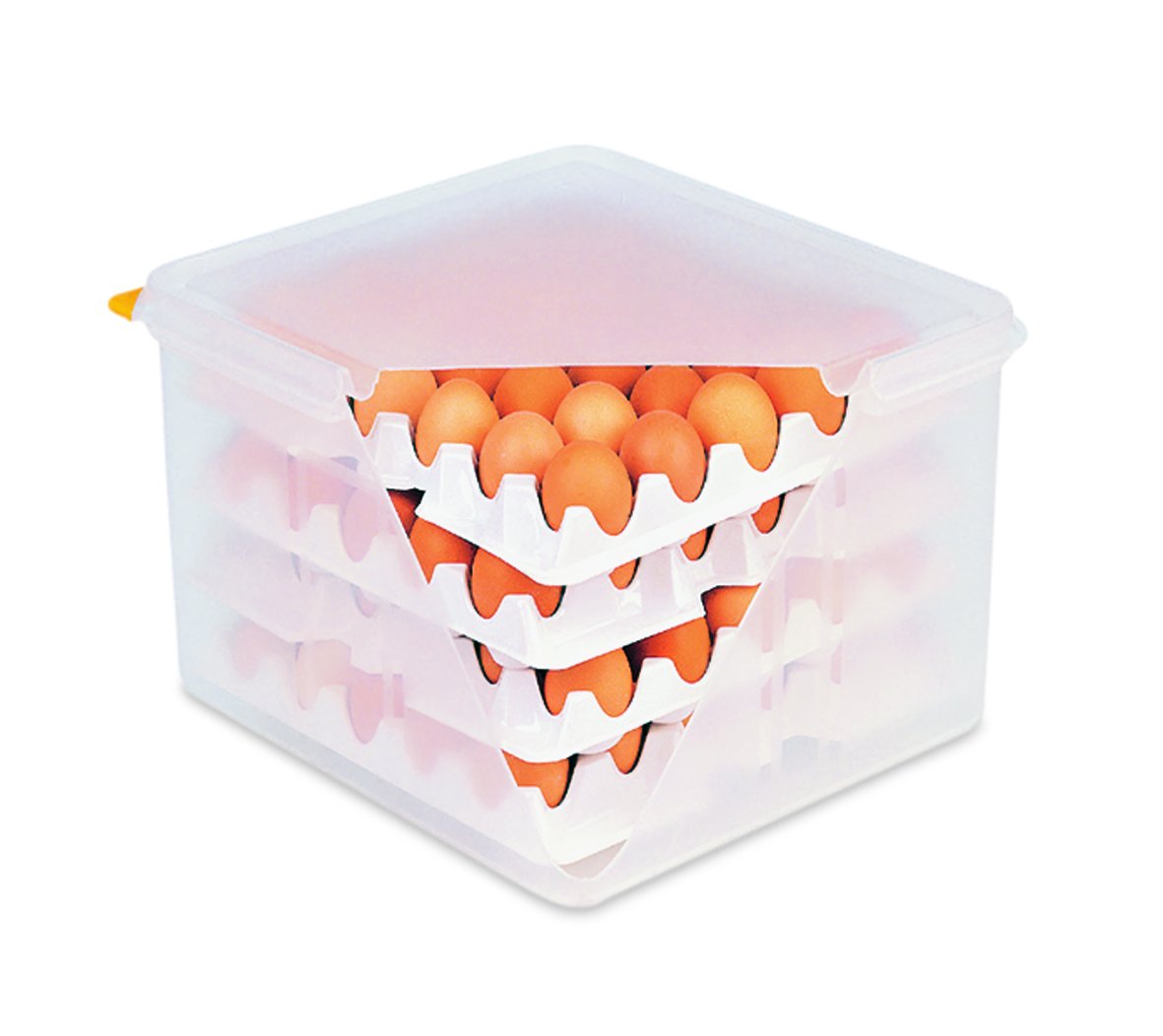 HACCP Eierbox aus Polypropylen mit OPTIONALER Ersatzeinlage - zum Transport und zur HACCP gerechten Aufbewahrung von Eiern, stapelbar - geeignet für 4 Einlagen je 30 Eier, Lieferumfang: 8 Einlagen für je 30 Eier / Abm. 35,4 x 32,5 x 20 cm (Eierbox)