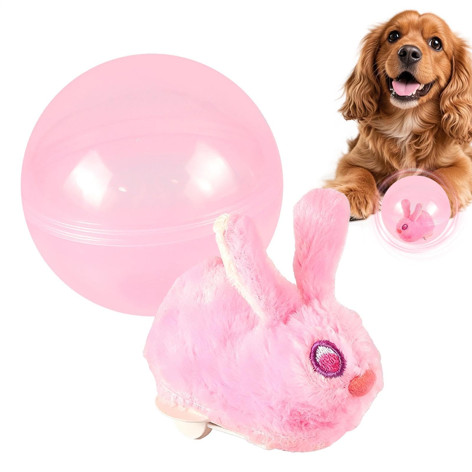 Pelota para gatos que combate el aburrimiento mediante ejercicio autónomo en casa