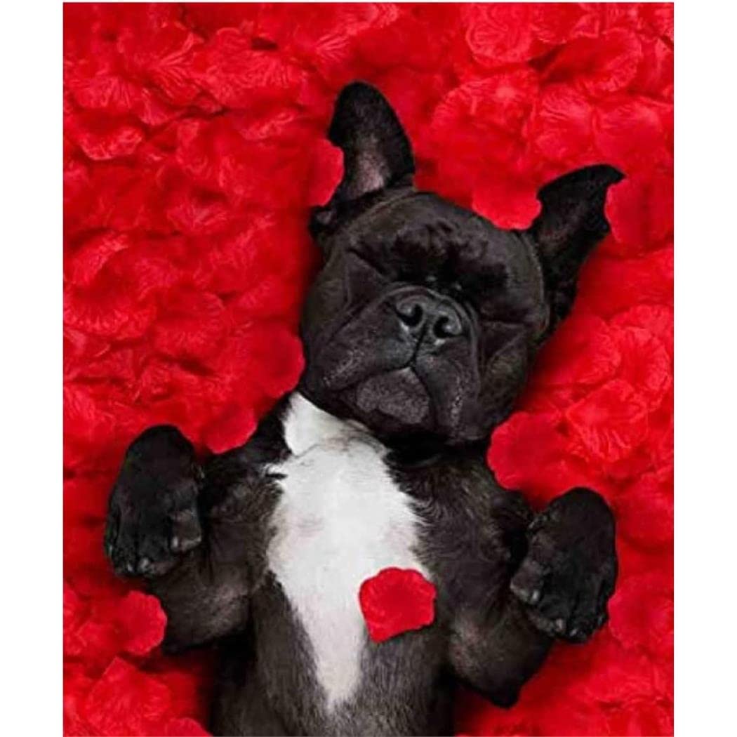 Nprzm H223 5D Diamond Painting Kits For Adults French Bulldog In Roses Round Diamond Art 50X60cm