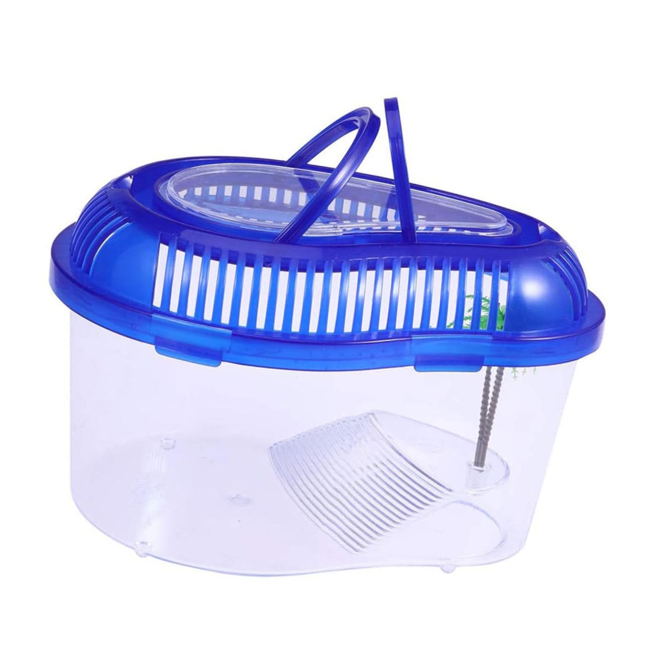 Amazon | COLLBATH 1個 スッポン 水槽 亀 水槽 爬虫類 タンク