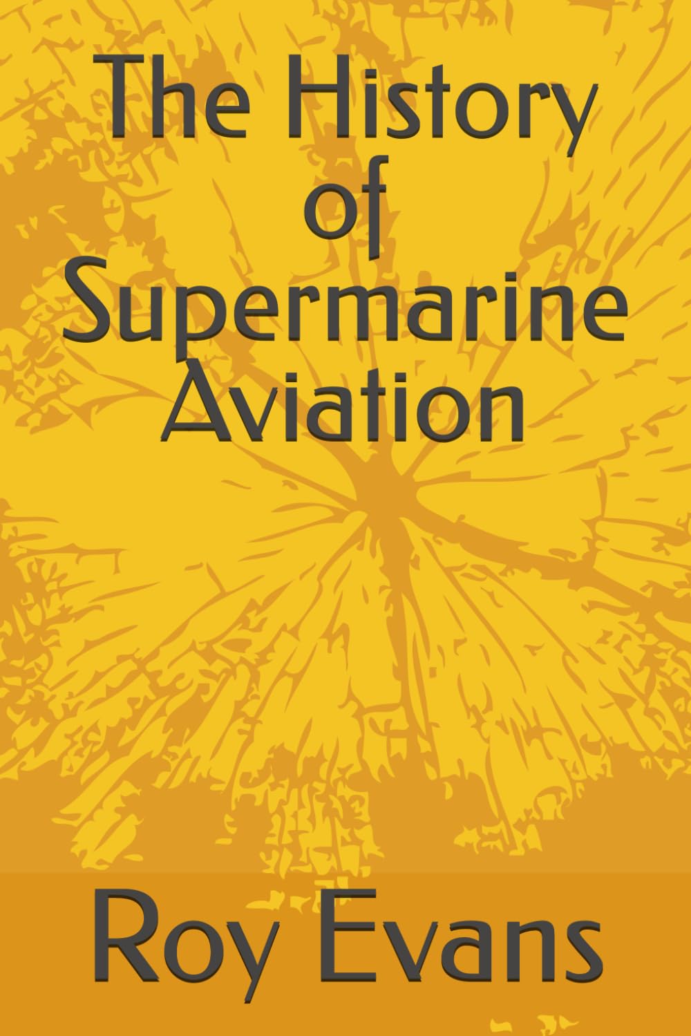 The History of Supermarine Aviation (Aviation Companies History)