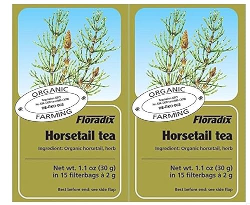 Floradix Tisane Prêle Bio 15 Sachets Lot de 2