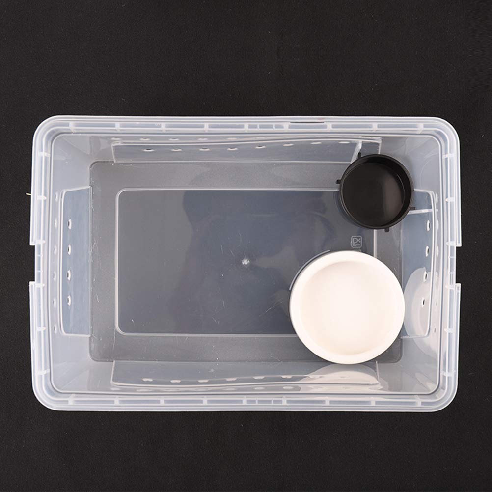 Scatola Alimentazione Rettili In Acrilico - 10x8x7 Cm Trasparente | Con 2 Pinzette E Fori Di Ventilazione