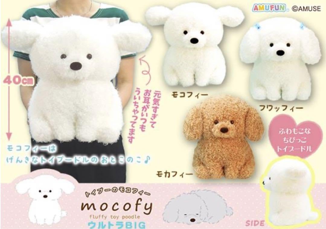 トイプーのモコフィのBIG ぬいぐるみ2点セット Amazon.co.jp: トイプーのモコフィー ぬいぐるみ 犬 トイプードル