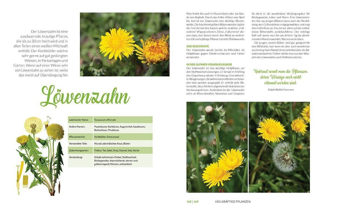 Heilkräuter aus den Alpen: Die Naturapotheke für Wohlbefinden und Genuss. Mit vielen Rezepten für Speisen, Getränke, Salben und Einreibungen