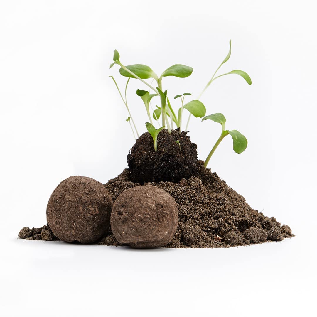 Die Stadtgärtner I Samenbomben lose & unverpackt I 100 Stück I Ideal als Gastgeschenk für die Hochzeit
