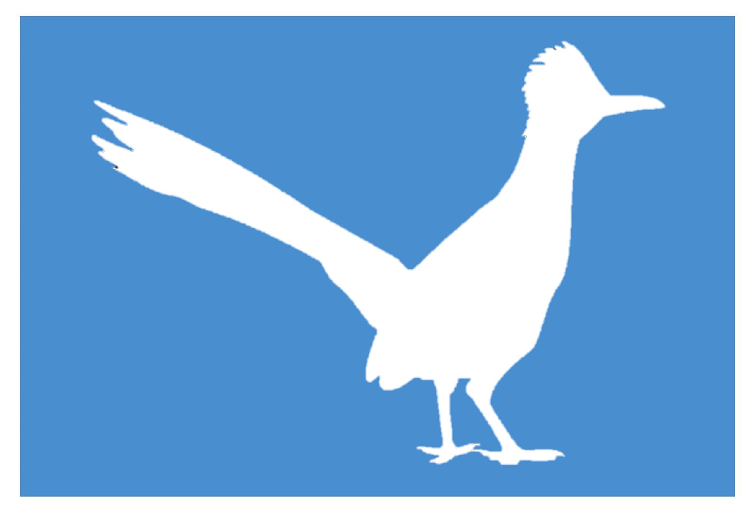 Roadrunner Road Runner Bird Geococcyx AS309 6" car Sticker Decal