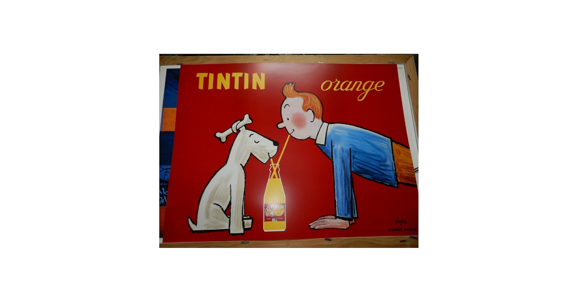 Amazon.co.jp: 限定特別企画TINTIN Orange SAVIGNACサイズ
