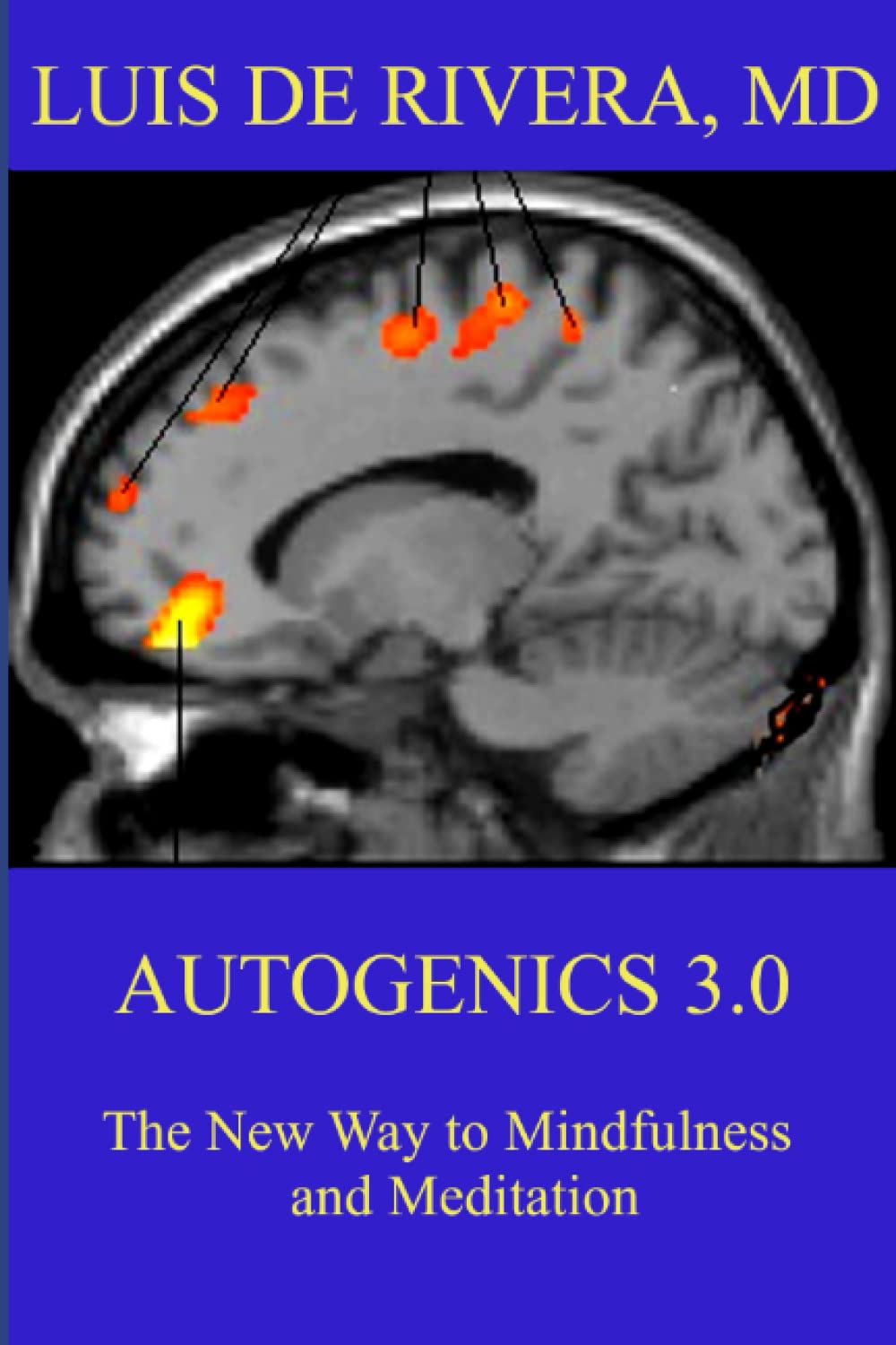 Autogenics 3.0: The New Way to Mindfulness and Meditation: Volume 1 (Autogenic Training & Psychotherapy)