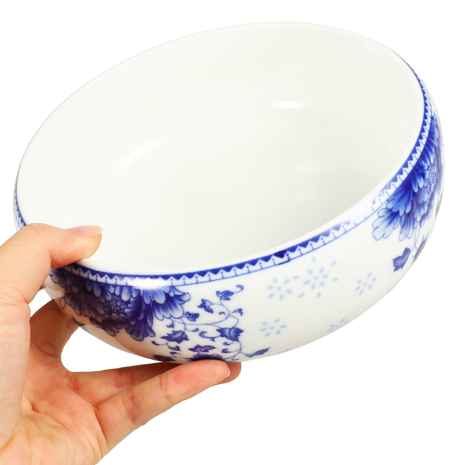 Anneome Pot de Fleurs en Céramique Hydroponique Large et Profond pour Plantes D'intérieur, Jardinière Décorative Simple et Lumineuse pour Salon et Jardin