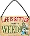 schilderkreis24 – Blaszana tabliczka śmieszna sentencja "Life is better.. Weed" dekoracyjna tabliczka metalowa humor trawa marihuana drzwi tabliczka zabawny prezent na urodziny lub Boże Narodzenie 18 x 12 cm
