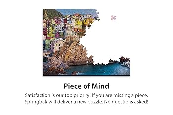 Amazon.com: Springbok's 1000 Piece Jigsaw Puzzle Cliff
