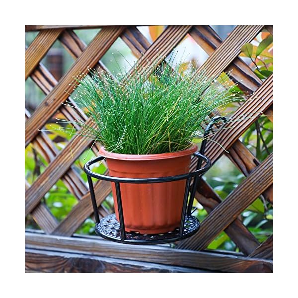 Metal/Iron Art Hanging Baskets Flower Pot Holder - Great for Patio Balcony Porch or Fence,White, Black - Image 6