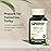 Standard Process Inc. Immuplex - Daily Immune Support Supplement with Folate, Iron, Vitamin C & Vitamin A - Mineral Supplement with Antioxidant Ingredients - 90 Capsules
