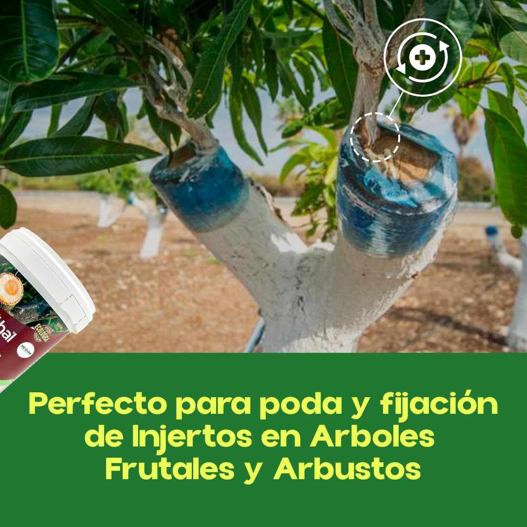 Pasta Cicatrizante Profesional 1 KG Ecológica | para Poda e Injertos | Eficaz Fijación Injertos, Cicatrización y Protección Heridas en Árboles, Frutales y Arbustos | Repara daños | SELLAPLUS