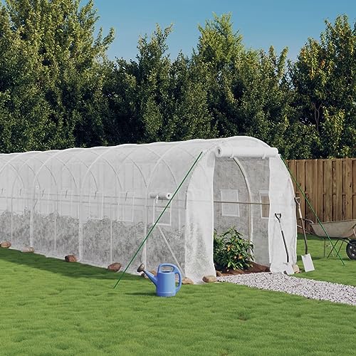 CZYLJLK Invernadero transitable, 6x2x2m, 12m² de Gran tamaño para Cultivo de Plantas, con Cubierta de PE Resistente a los Rayos UV de 140 g/m², Estructura de Acero galvanizado, Puerta enro