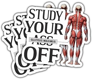 3Pcs Study Your Ass Off Sticker Funny Motivational Gift for Students Gym Lovers Fitness Gluteus Maximus Stickers Study Your Ass Off Gluteus Maximus Decal for Laptop Water Bottle Toolbox Case Cars 3"