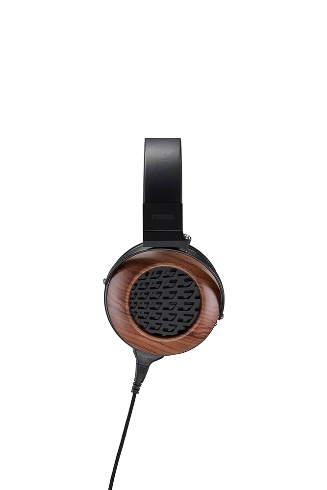 Amazon.com: Fostex Premium Open Back Audiophile Headphones