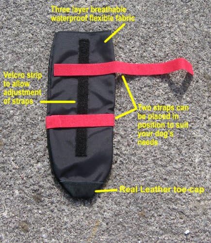 proactive paws dog boots