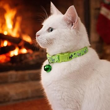 Kedİ Boyun Tasmasi Zİllİ Ve Ayarlanabİlİr YeŞİl