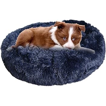 comfort dog bed for anxiety