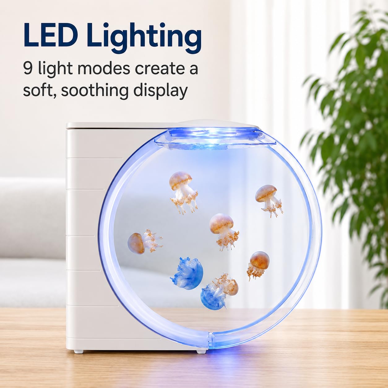 Tanque de acuario de medusas de 10 L con luces LED y bomba USB