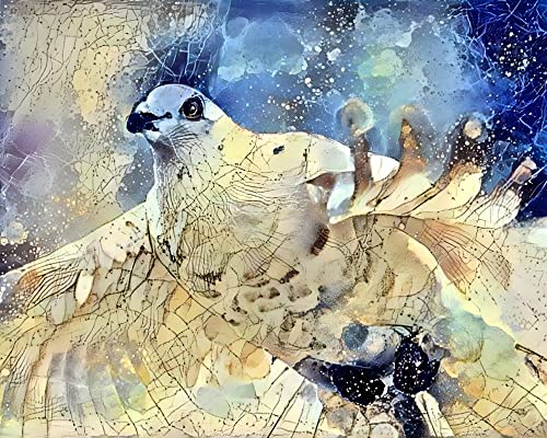 Poster oiseau mignon Meechi art mural toile déco salon moderne 50x70 cm