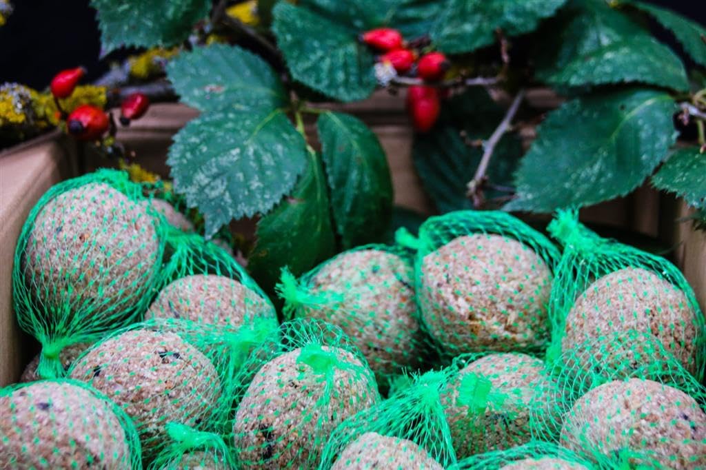 Anhaltiner Meisenknödel 200St. mit Netz mit Insekten Rindertalg Wildvögel Fett