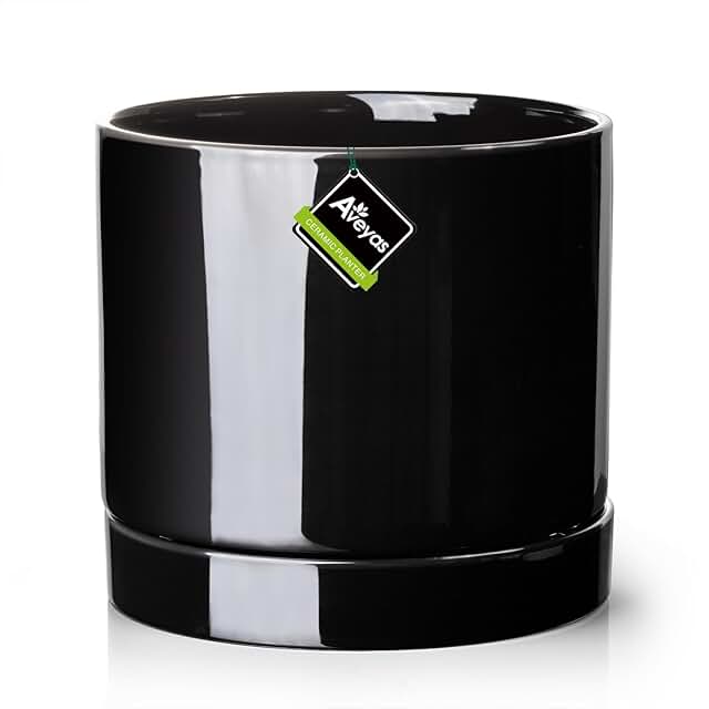 Aveyas 10 inch Ceramic Plant Pot with Drainage Hole and Saucer - Suitabl...