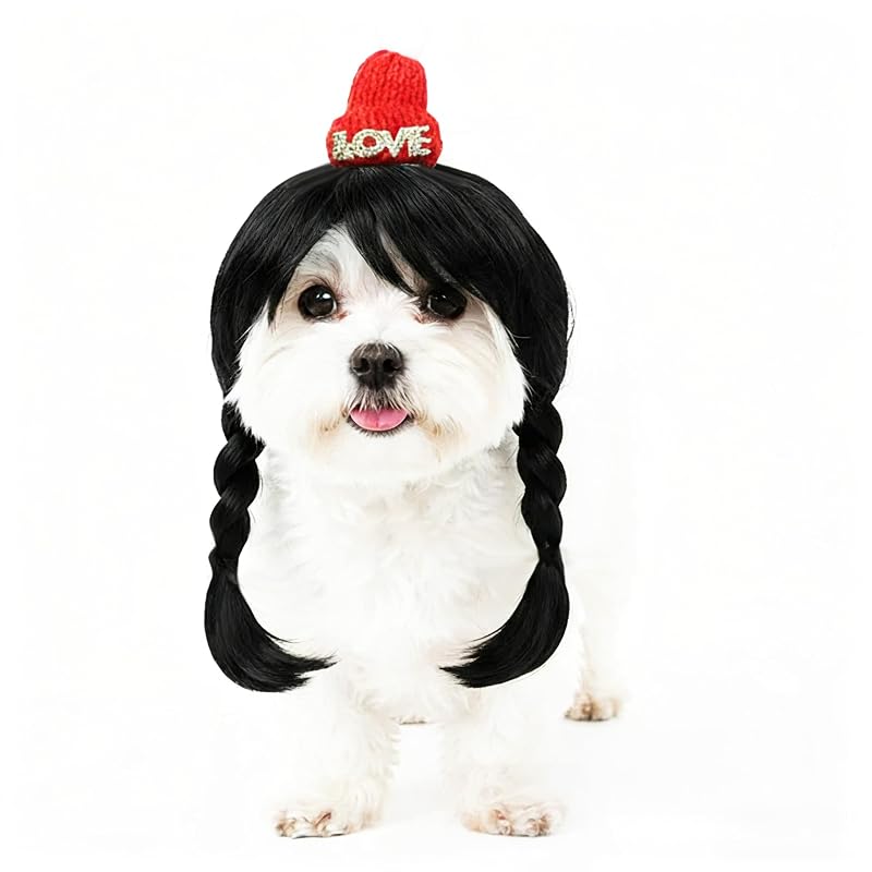 Fantasia para Cães com Peruca Preta e Chapéu de Natal BKstar GGJF01
