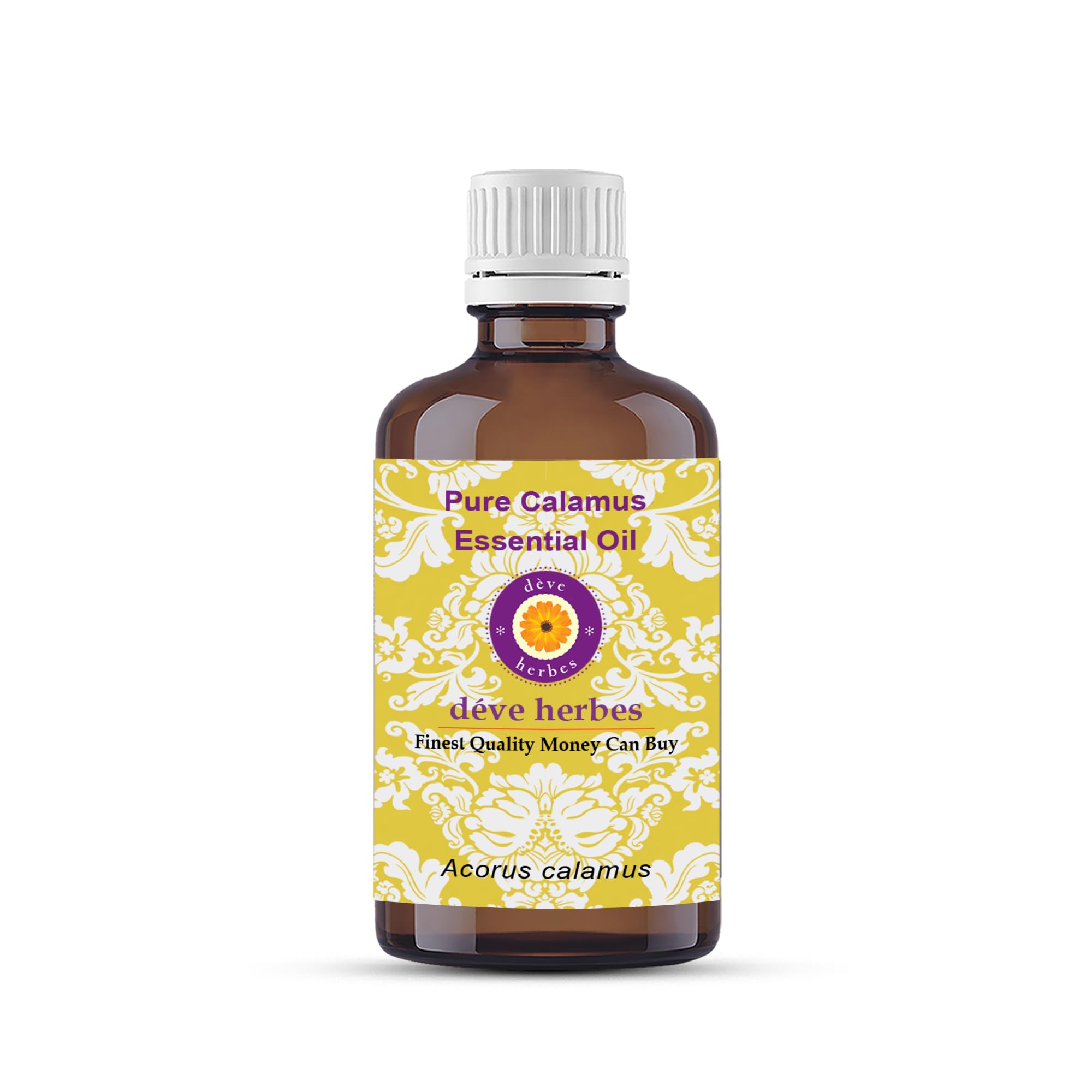 Deve Herbes Pure Calamus Essential Oil (Acorus calamus) distillato a vapore di grado terapeutico naturale al 100% 100ml (3.38 oz)