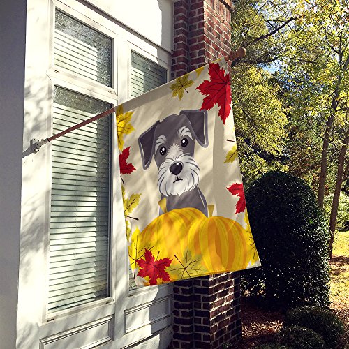 Drapeau Schnauzer Thanksgiving BB2012CHF contre la décoloration des décors - 3