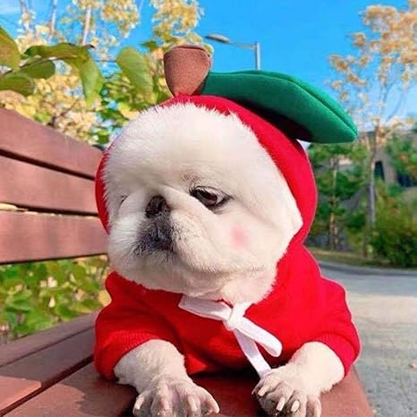 Amazon Co Jp Lifemaison 犬服 ペット服 セーター 暖かい 帽子付 りんごデザイン コスプレ バナナカエル 春秋冬服 厚くする 防寒 柔らかい 小型犬 赤いリンゴ M Lifemaison ペット用品