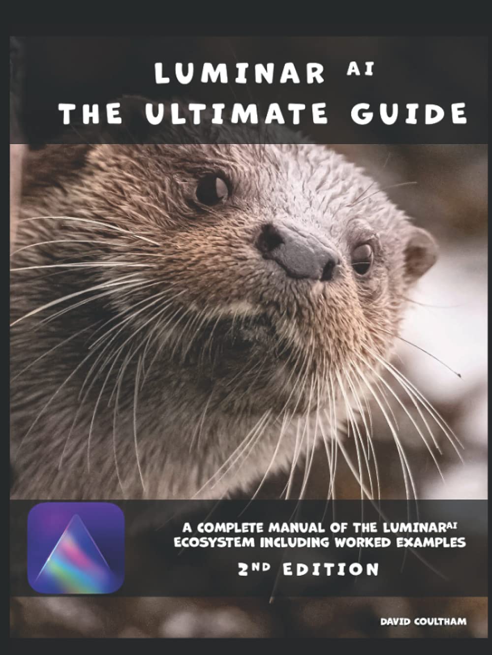 Luminar AI - The Ultimate Guide: 2nd Edition Hardcover – 25 Sept. 2021