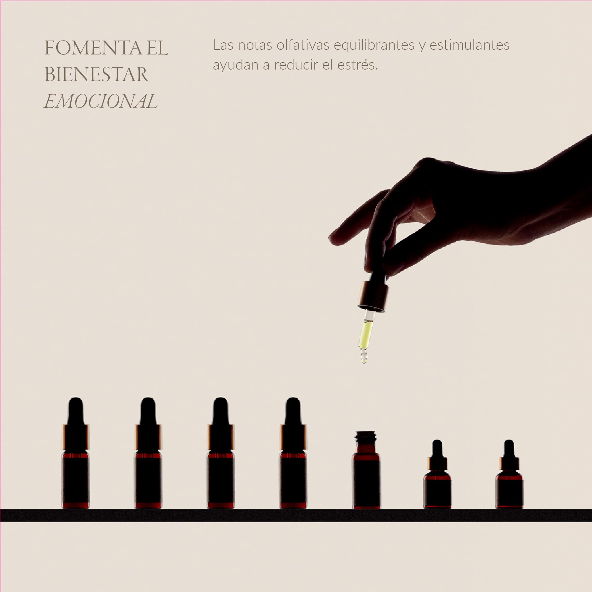 ALQVIMIA Preparado de Aceites Esenciales Concentración 10ml - Aceites Esenciales para Humidificador - Esencias para Humidificador - Aceites Naturales para la Concentración - Estimula tu Mente